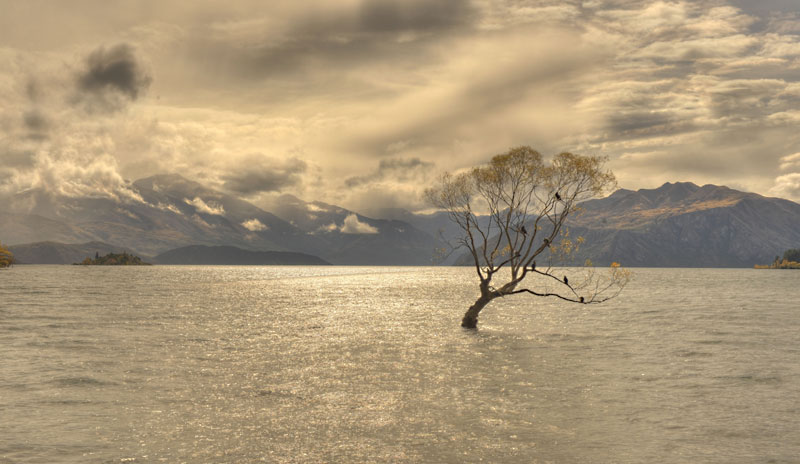 Lake Wanaka